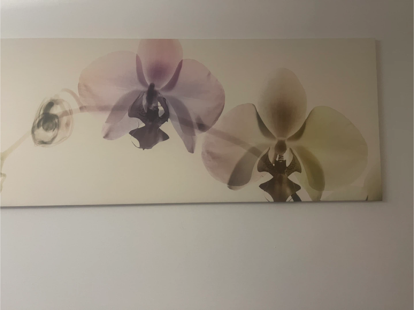 Floral art wall