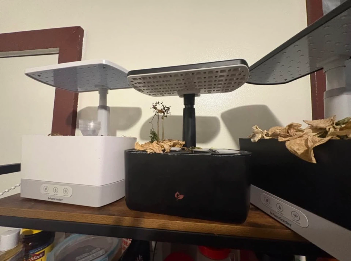 AeroGarden Indoor Garden System