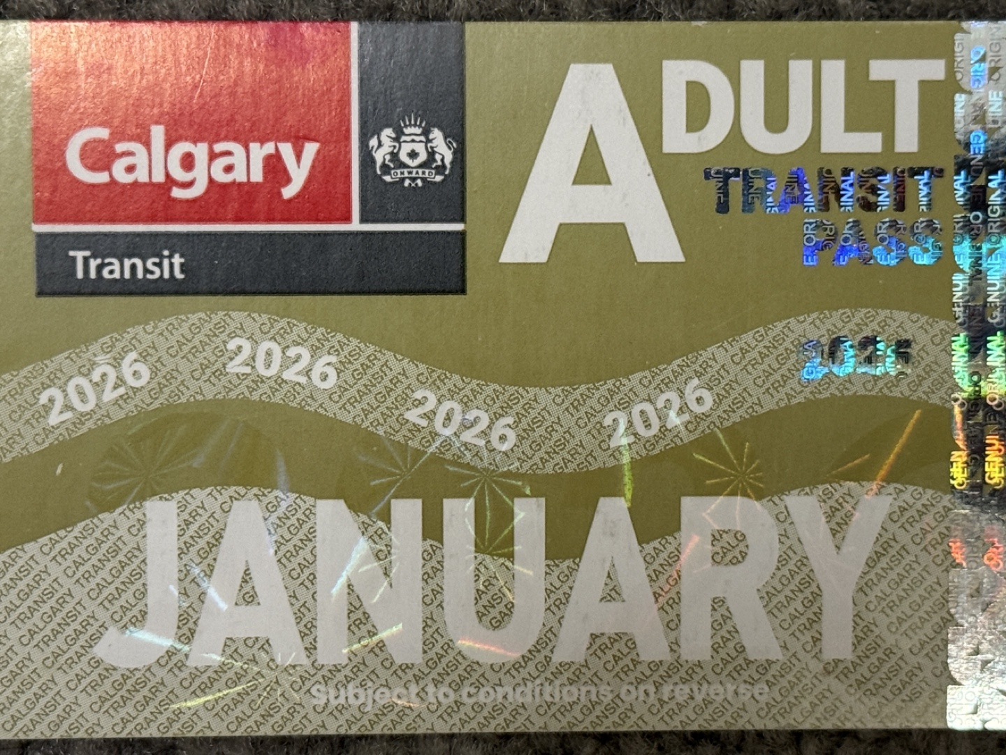 Calgary Transit Adult January 2026 Pass