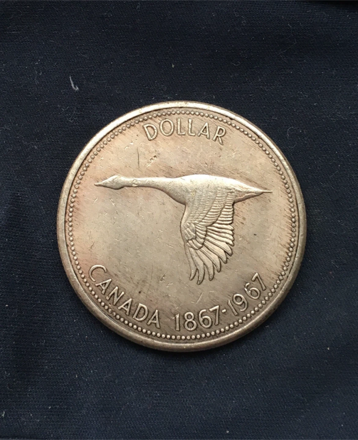 1967 Canada Dollar Coin