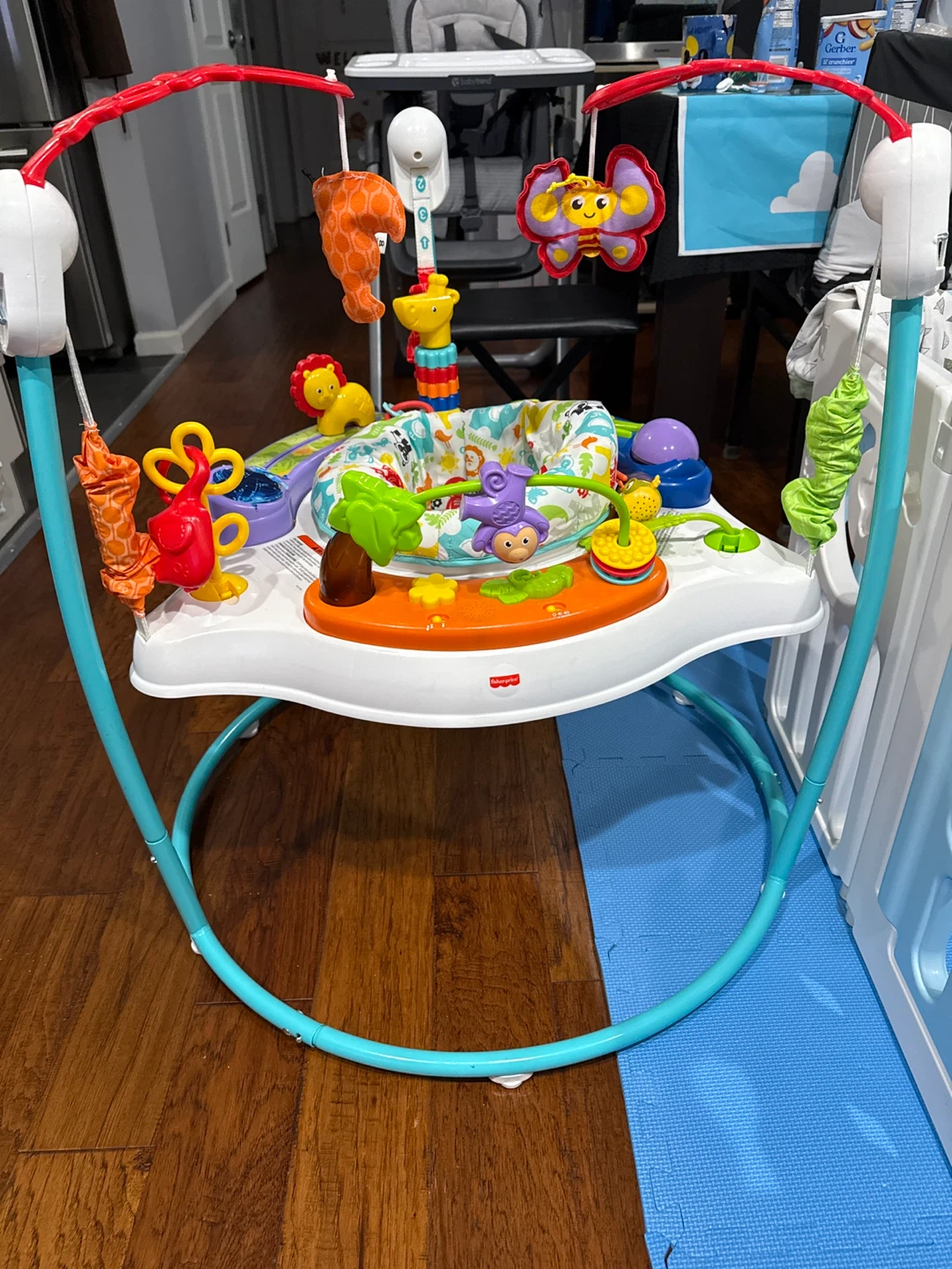 Fisher-Price Jumperoo Baby Bouncer