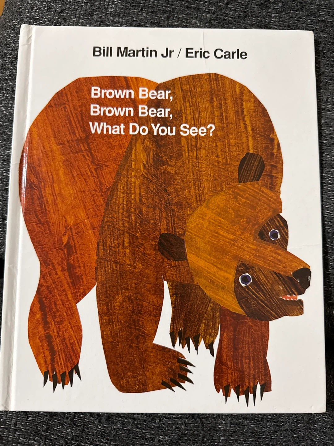 Brown Bear, Brown Bear, What Do You See? Book