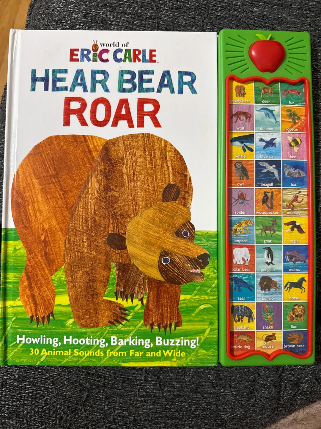 Eric Carle Hear Bear Roar Sound Book