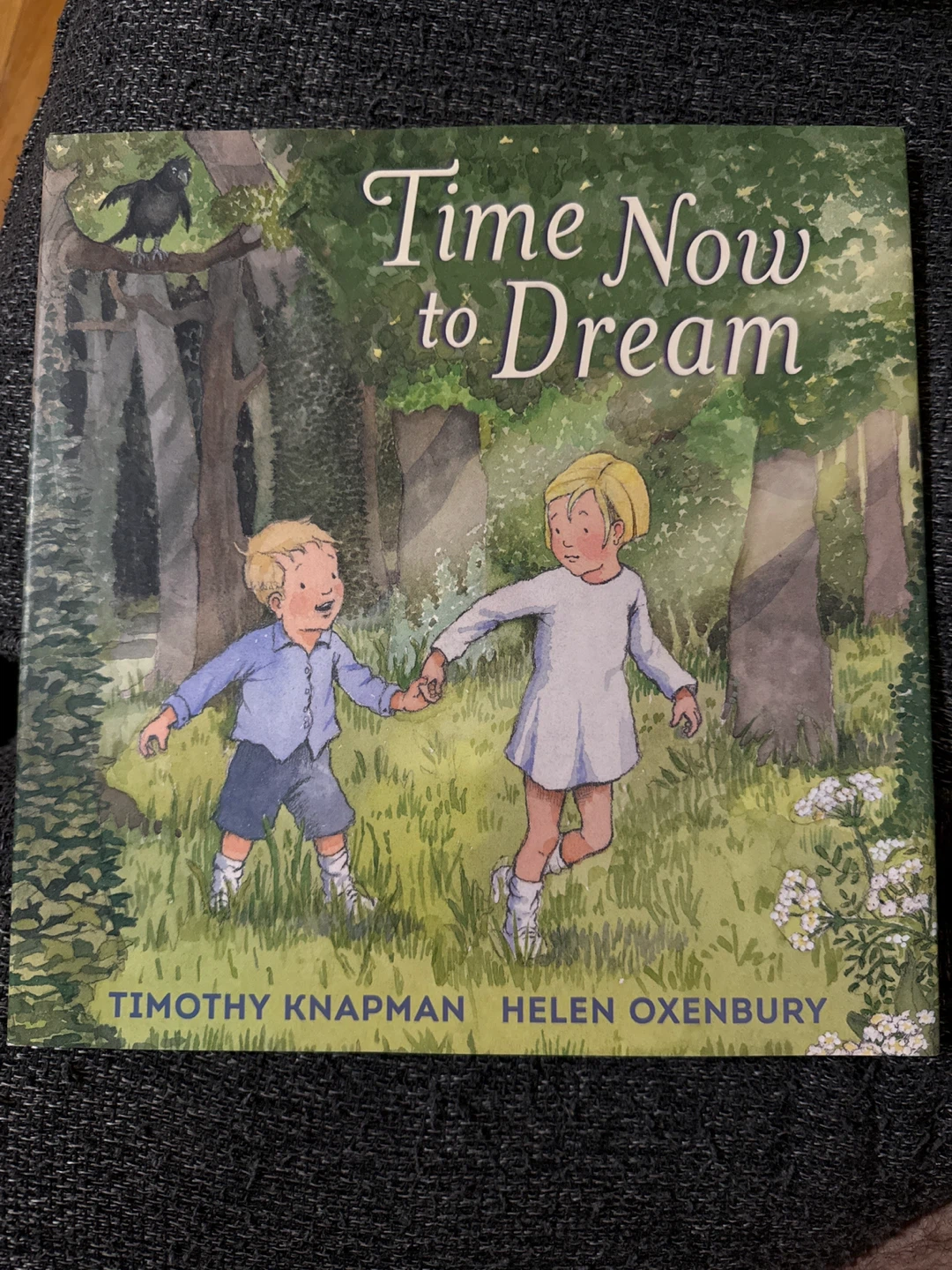 Time Now to Dream by Timothy Knapman & Helen Oxenbury