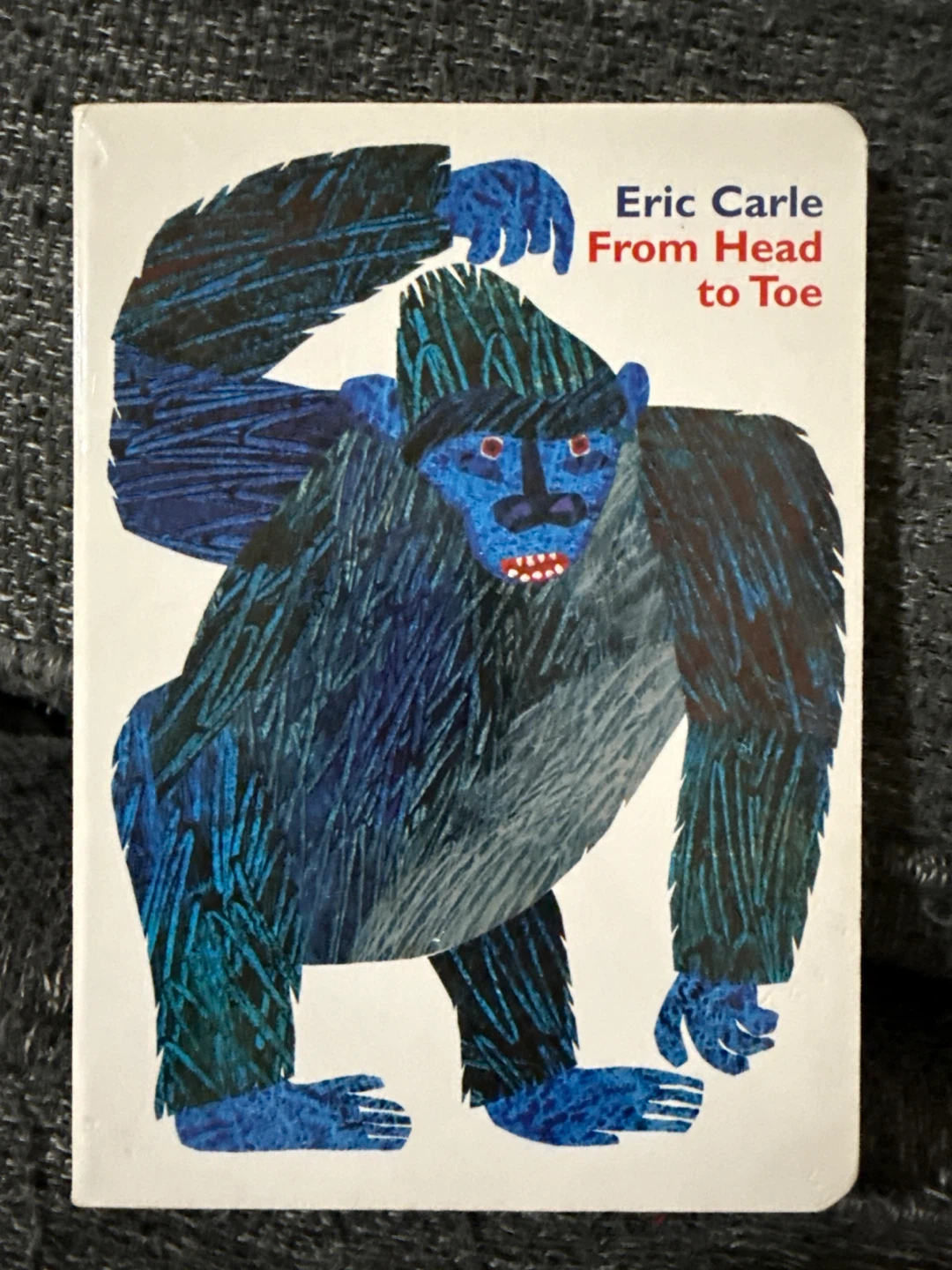 From Head to Toe by Eric Carle