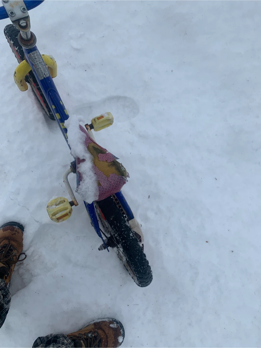 Chase Kids Bike - Blue and Yellow - photo 4