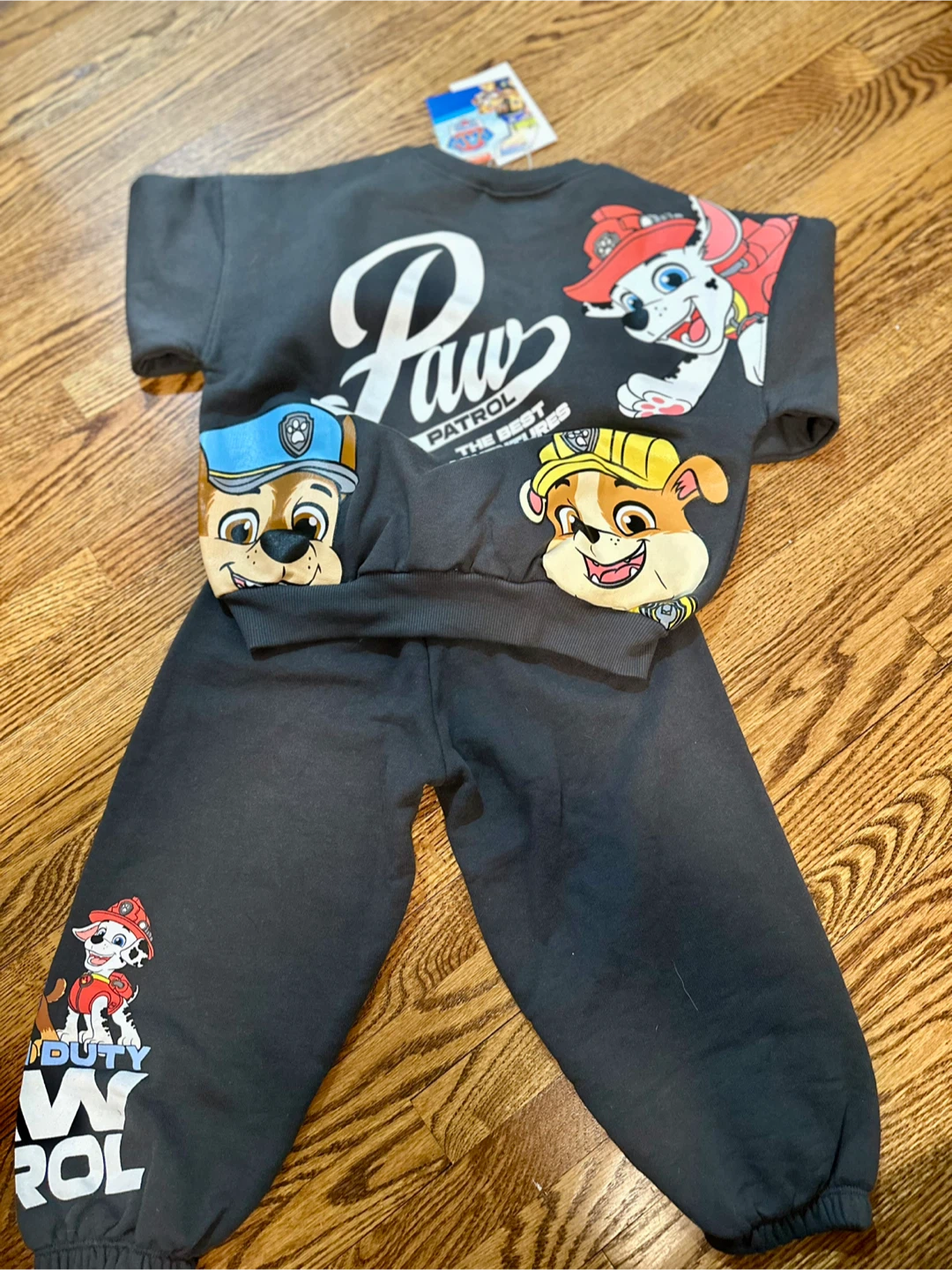 Zara BNWT Paw Patrol Kids' Sweatshirt & Pants Set