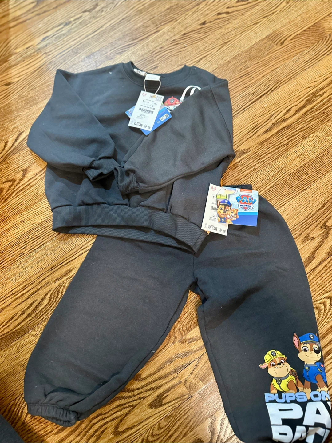 Zara BNWT Paw Patrol Kids' Sweatshirt & Pants Set - photo 2