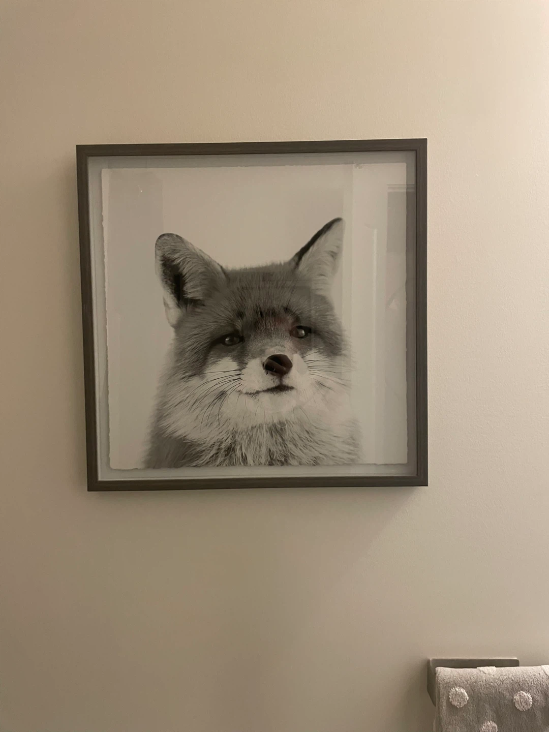 Fox Framed Wall Art