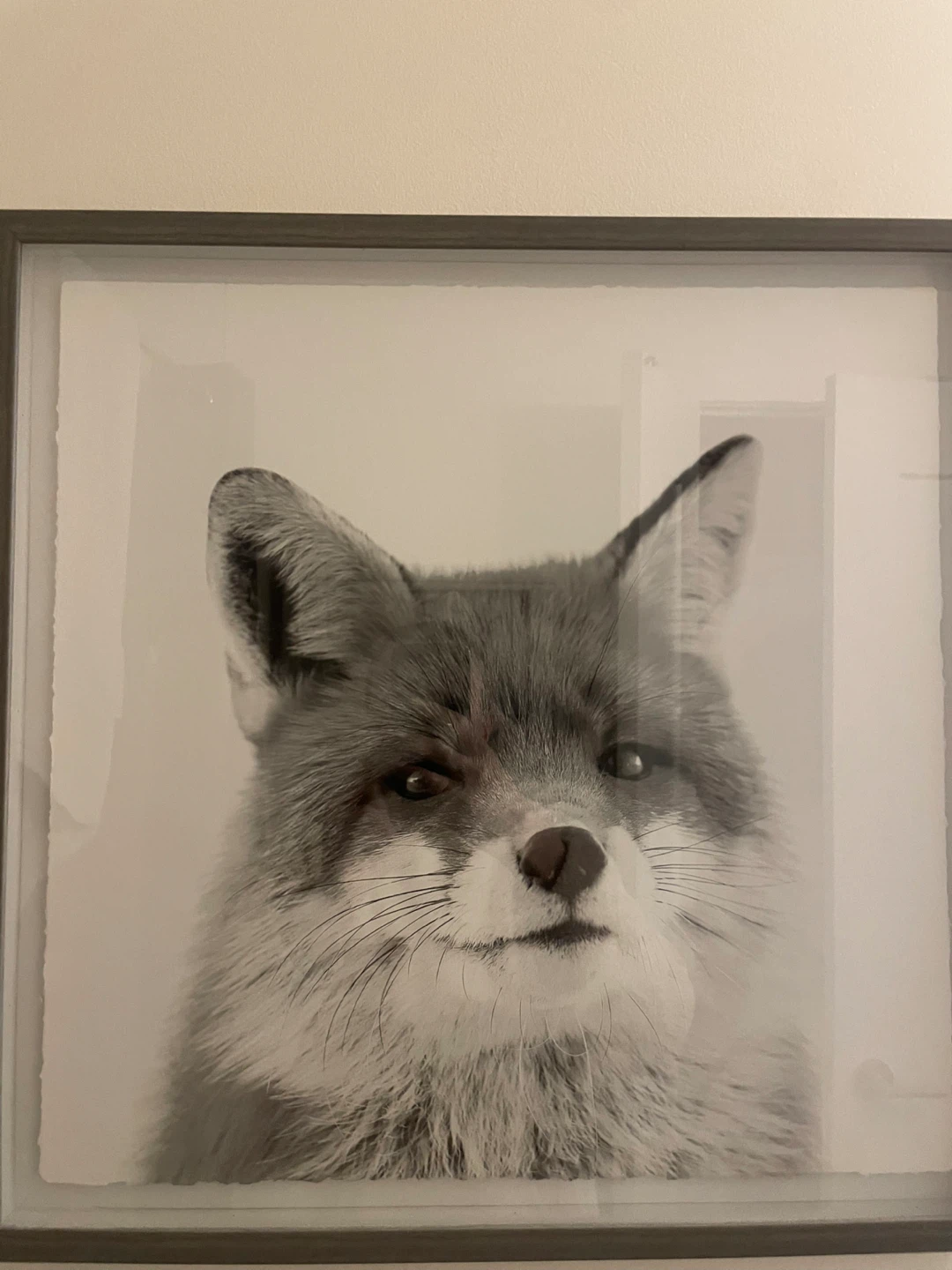 Fox Framed Wall Art - photo 2