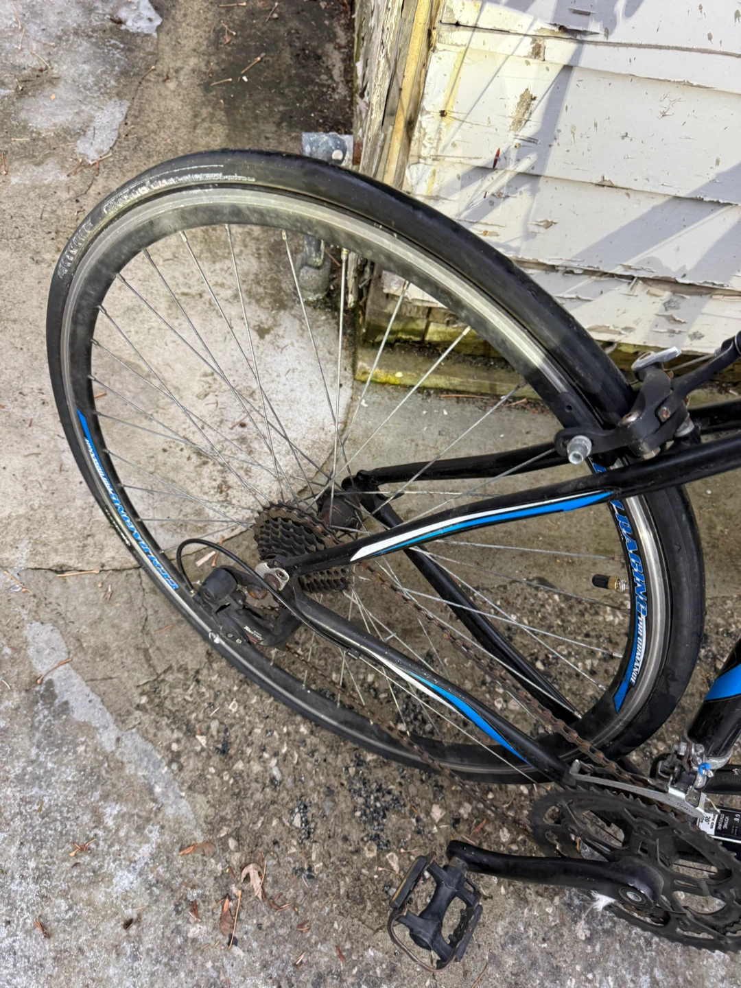 CCM Endurance Road Bike - Black & Blue