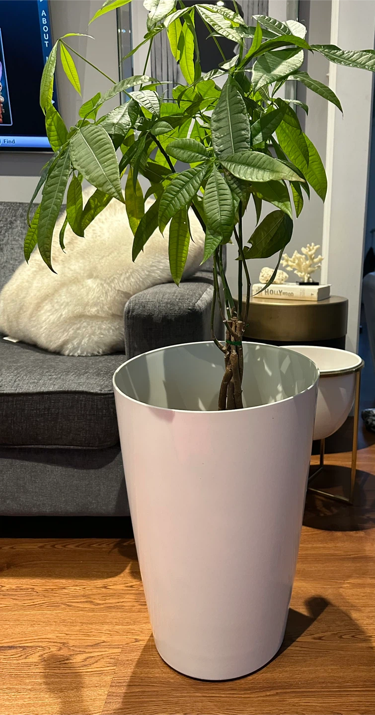 13" White Planter