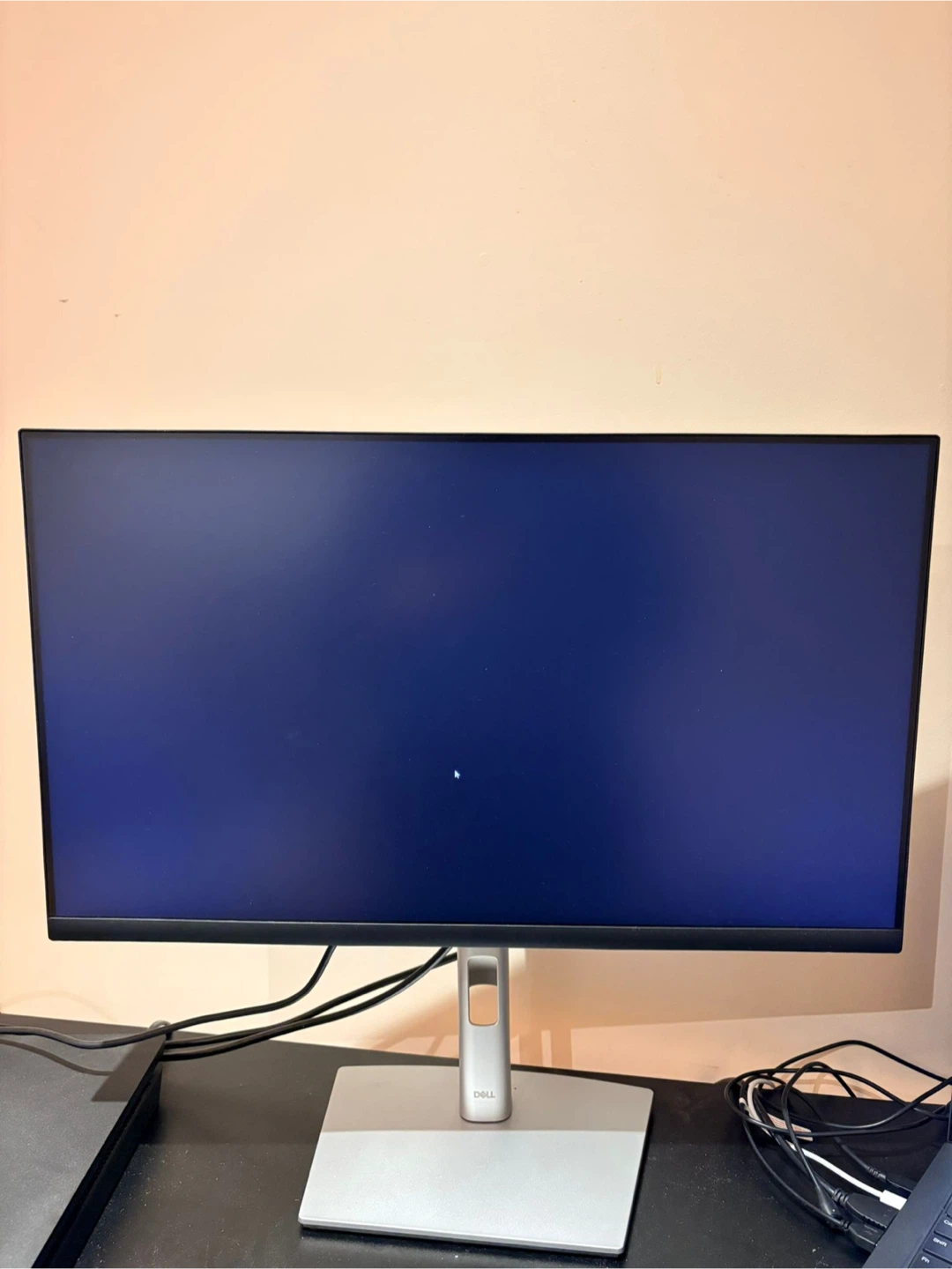 Dell Monitor - 24 inch P2422H