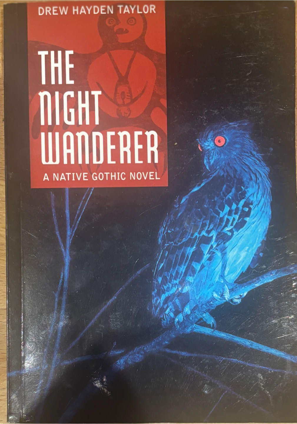 The Night Wanderer by Drew Hayden Taylor
