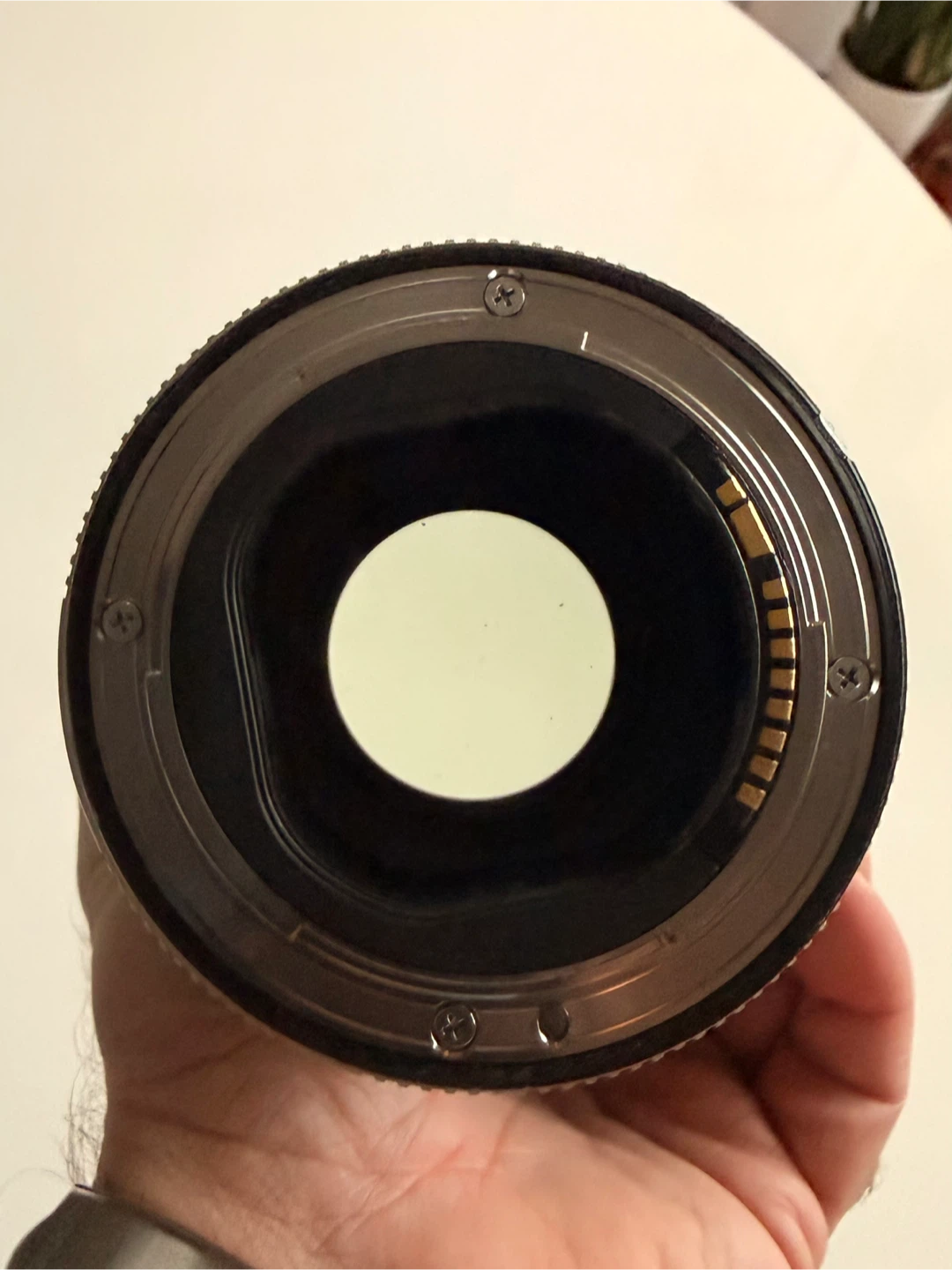 Canon EF 70-200mm f/2.8 L IS II USM Lens - photo 5