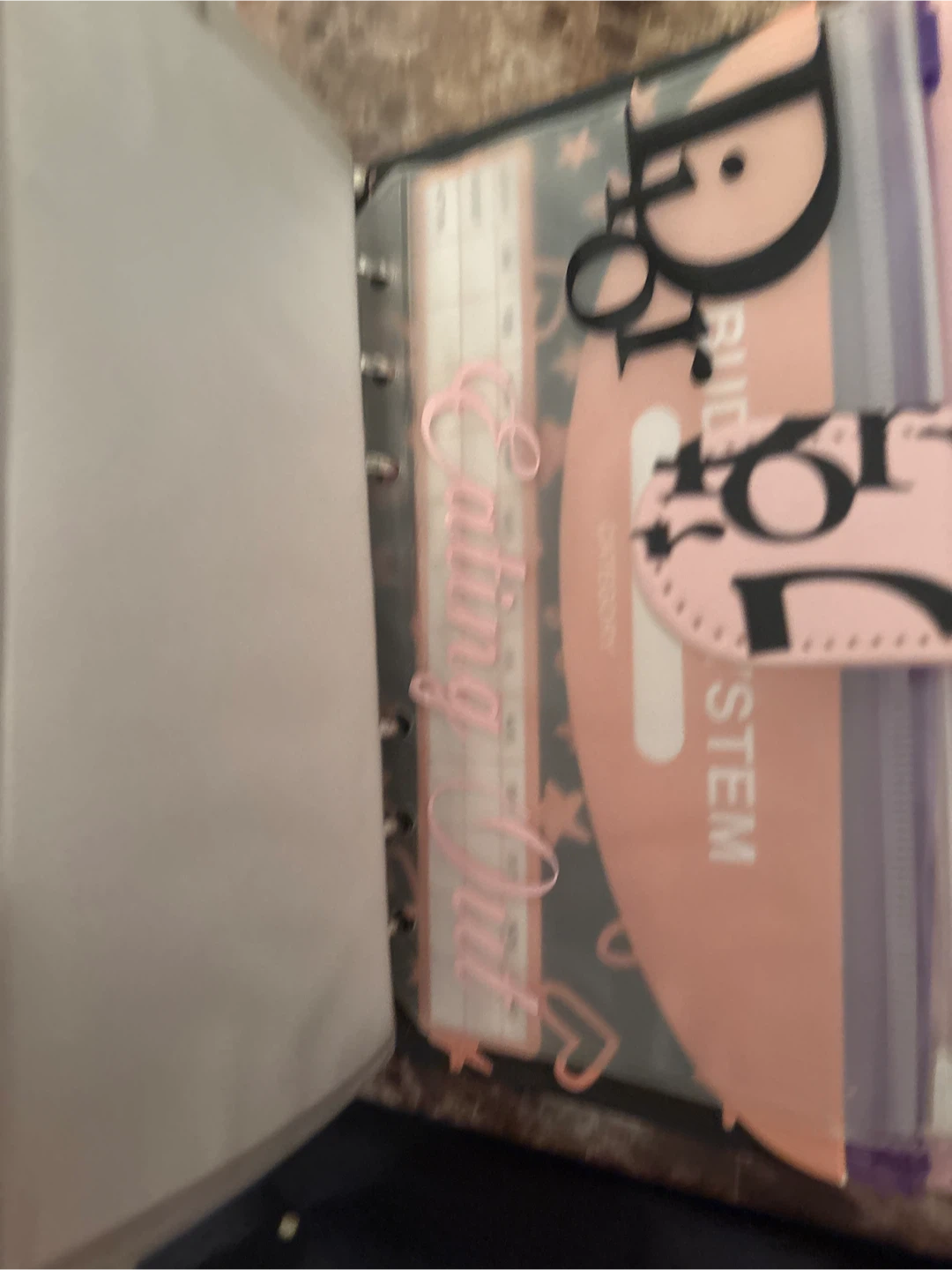 Dior & Chanel Inspired Budgeting Binders - photo 4