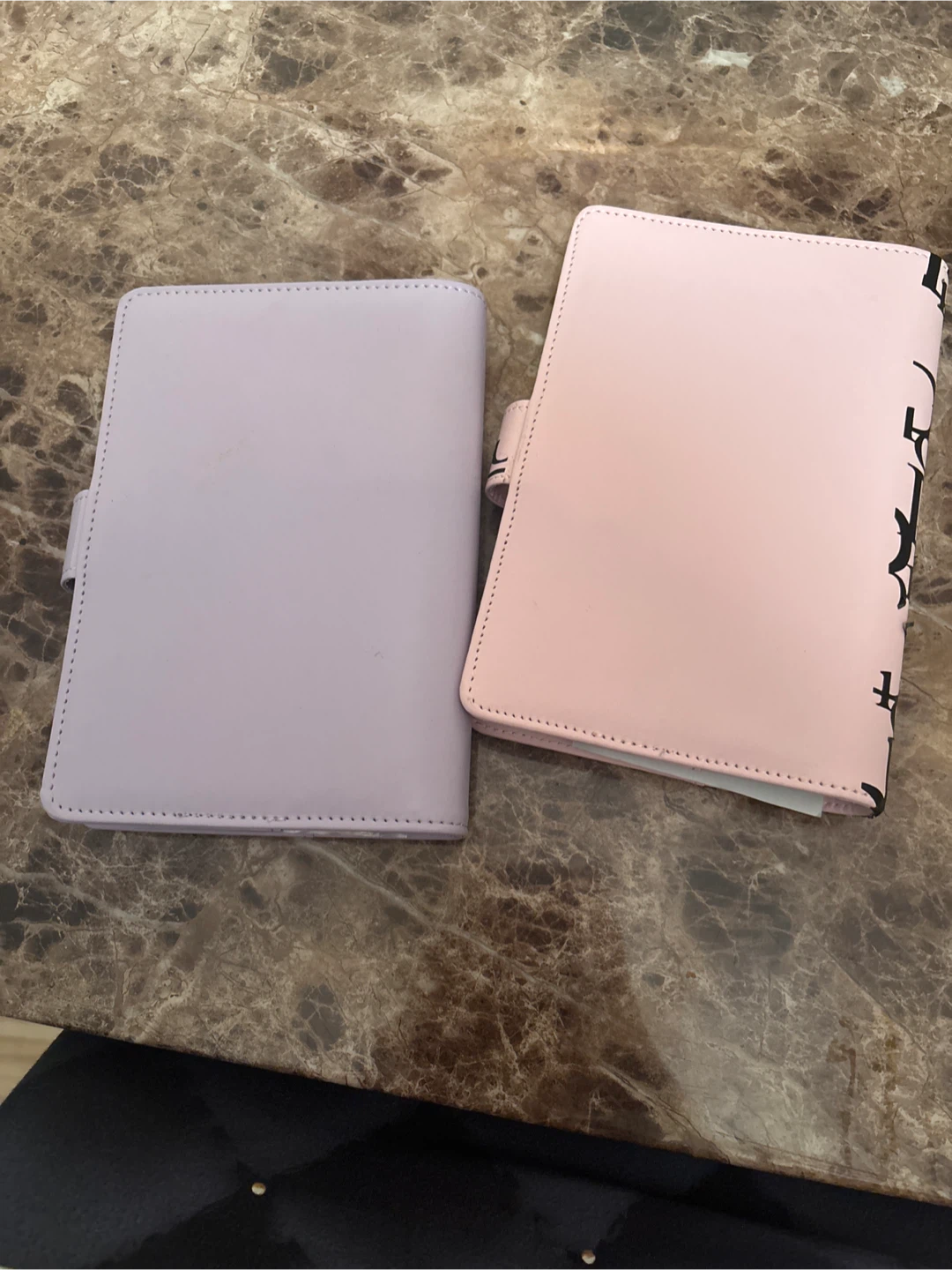Dior & Chanel Inspired Budgeting Binders - photo 3