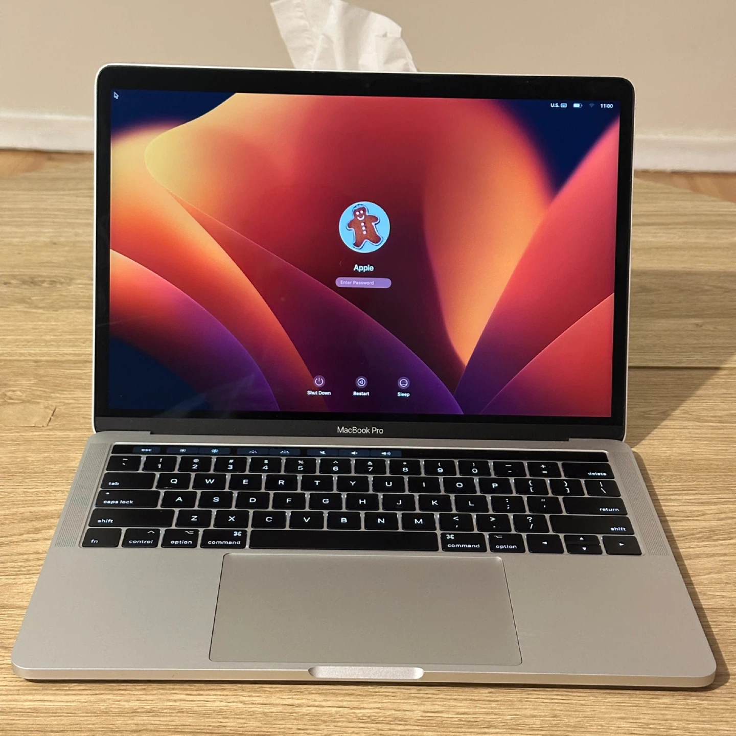 Apple MacBook Pro 2017 - 13 inch - i5 8/256 GB - Silver