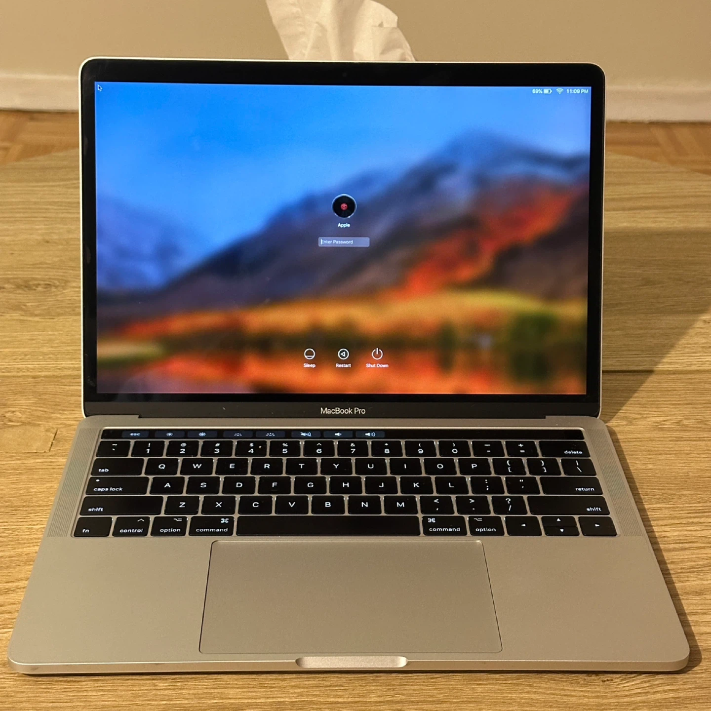 Apple MacBook Pro 2017 - 13 inch - i5 8/256 GB - Silver