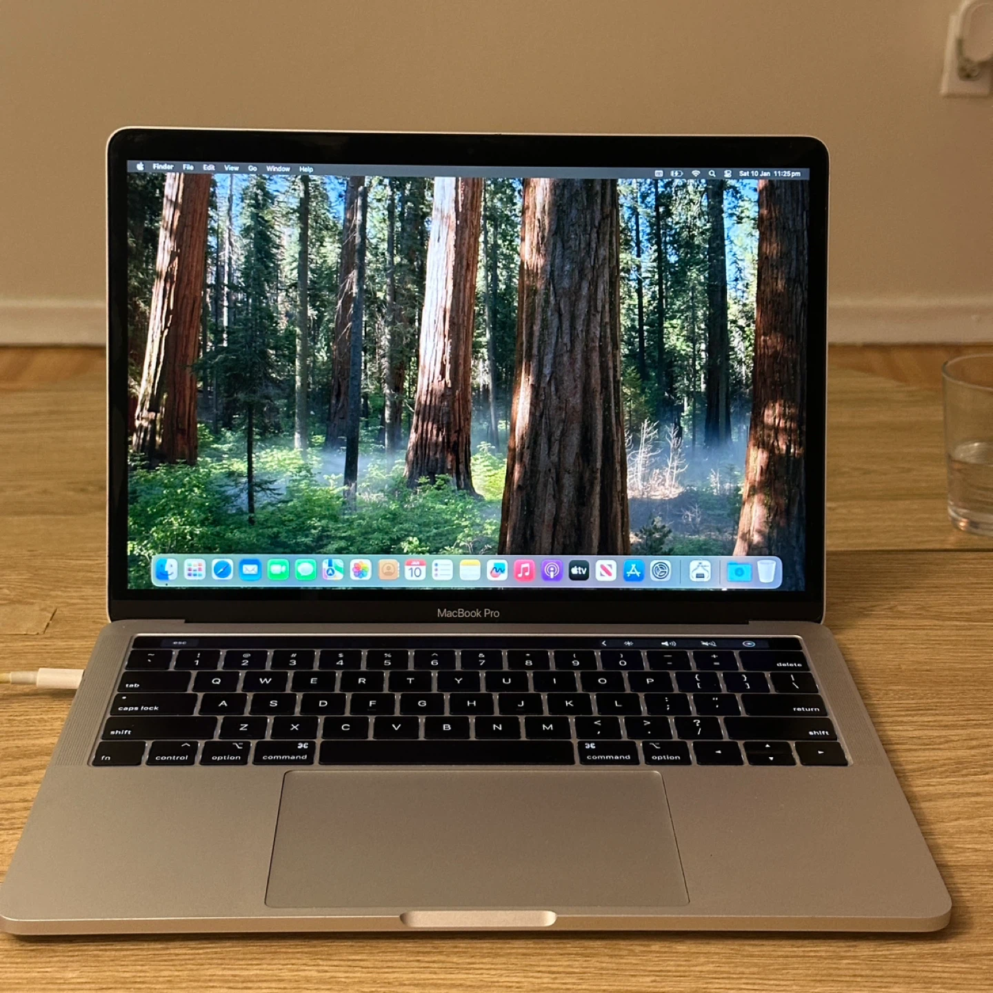 Apple MacBook Pro 2018 - 13 inch - i5 16/256 GB - Silver