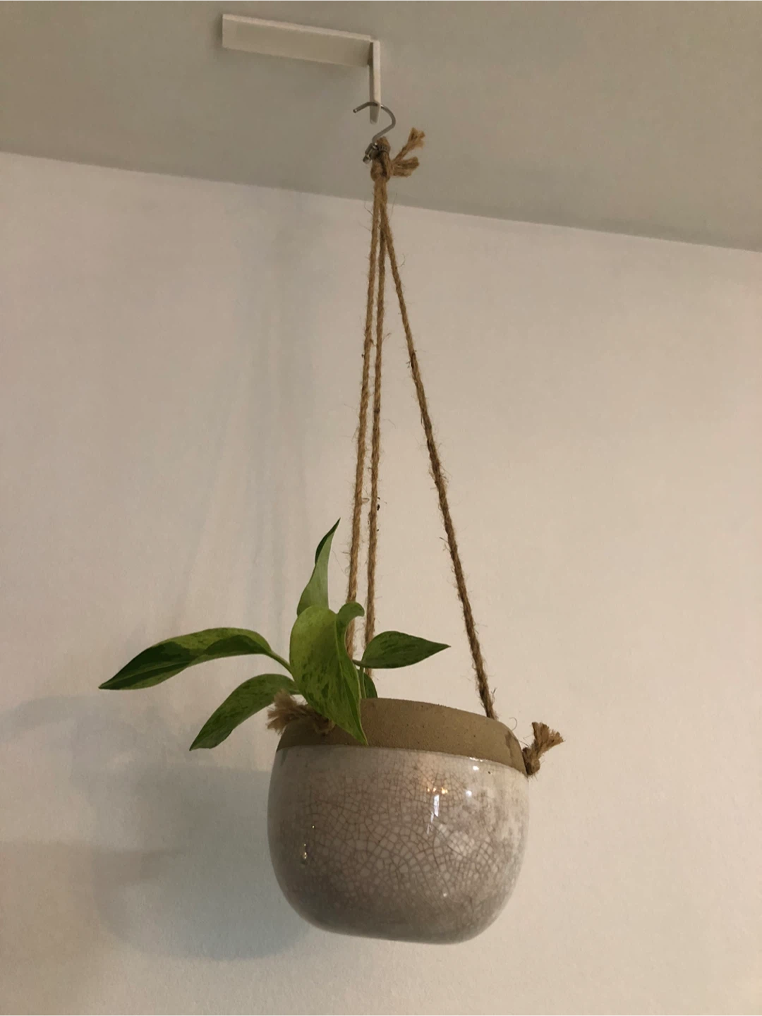 Hanging Plant Pot with Rope