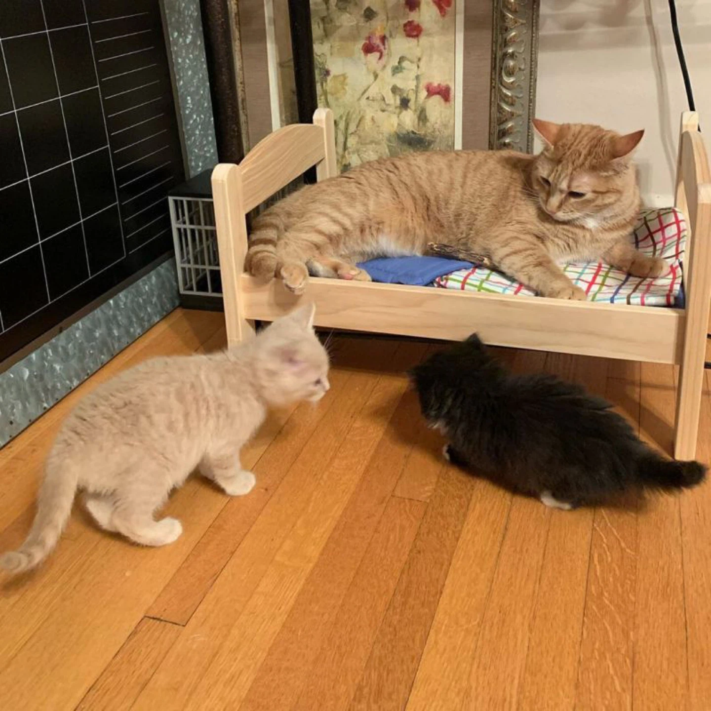 Ikea Toy Bed - photo 3