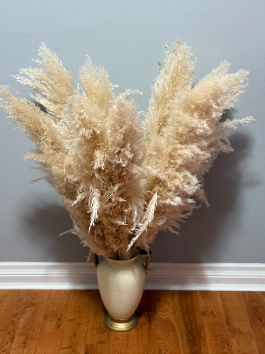 Pampas Grass in Vase - photo 2