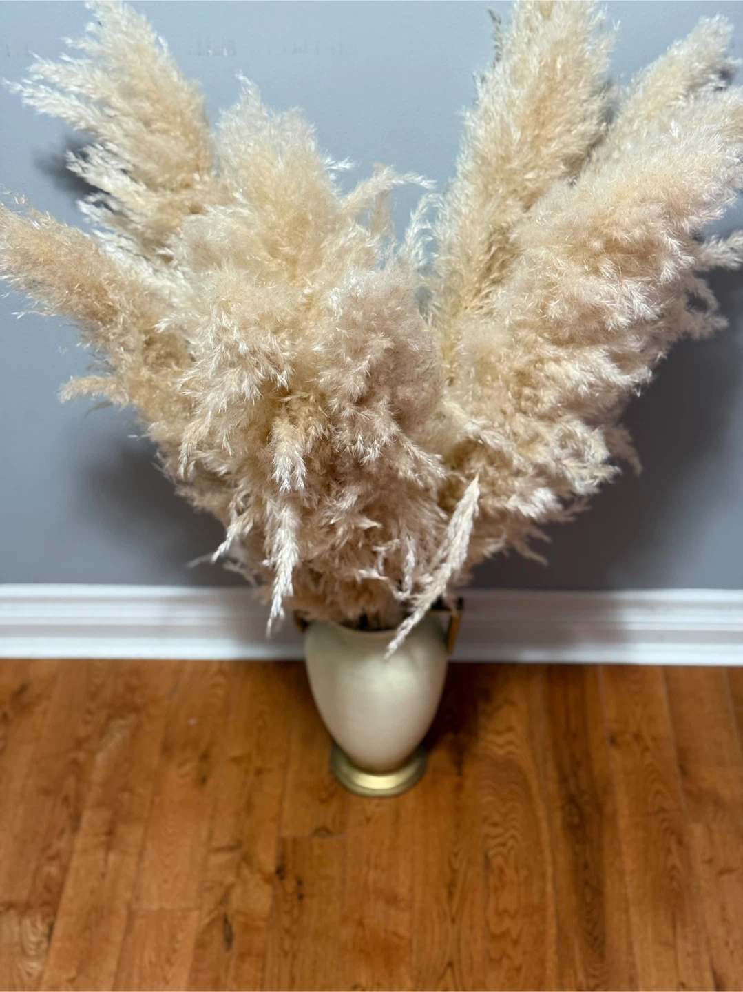Pampas Grass in Vase