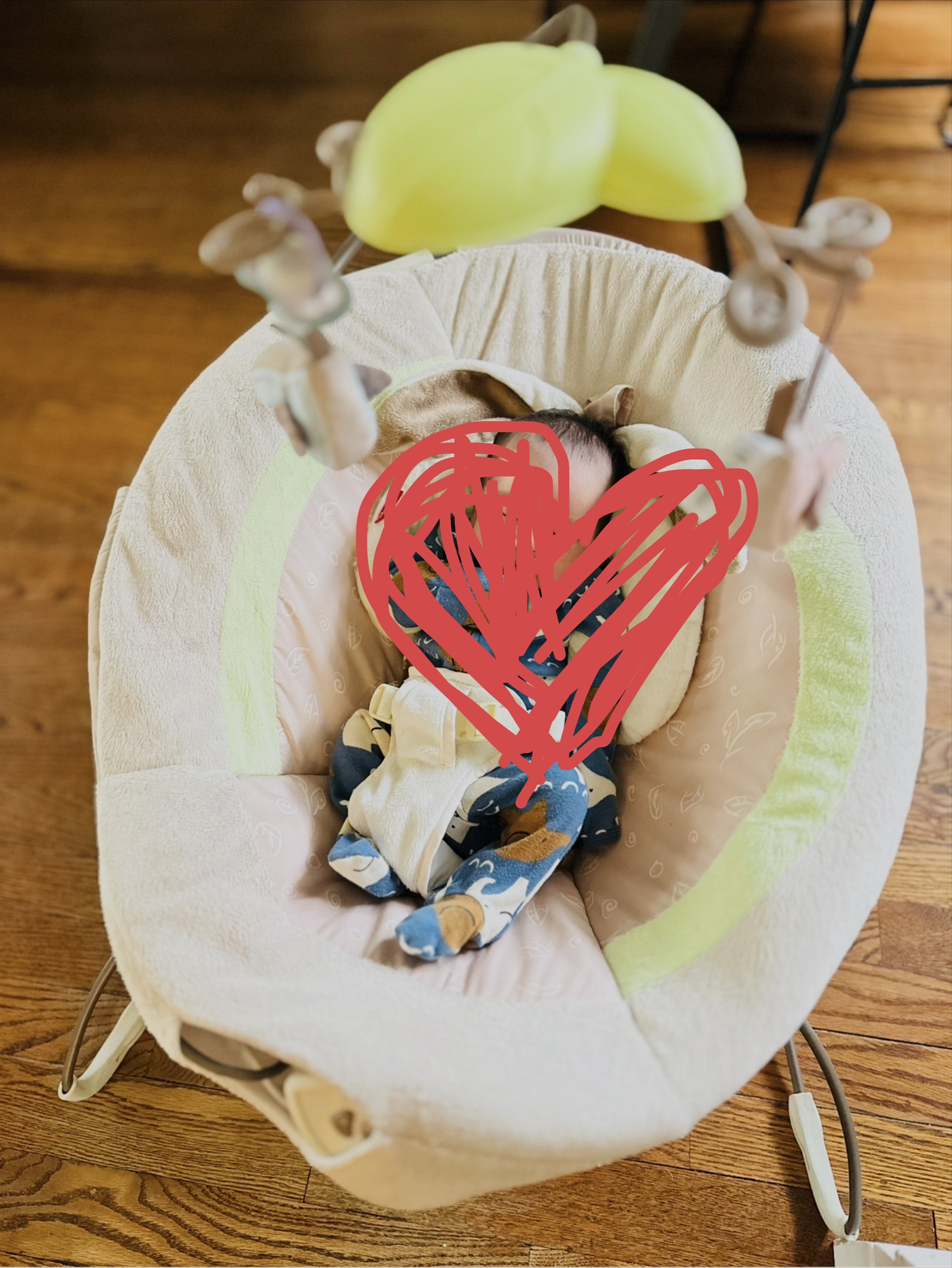 Baby Bouncer
