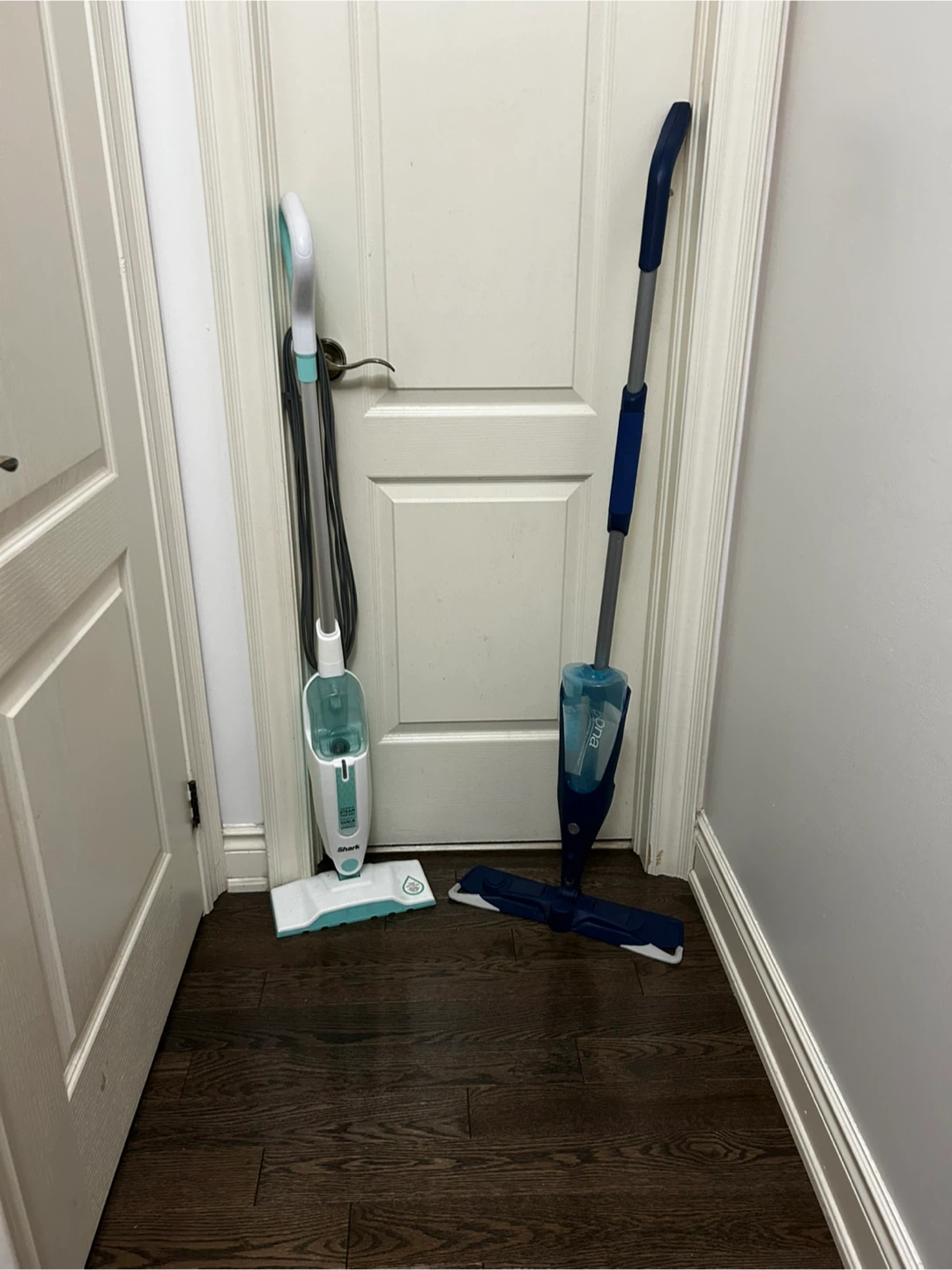 Shark Steam Mop & Bona Spray Mop