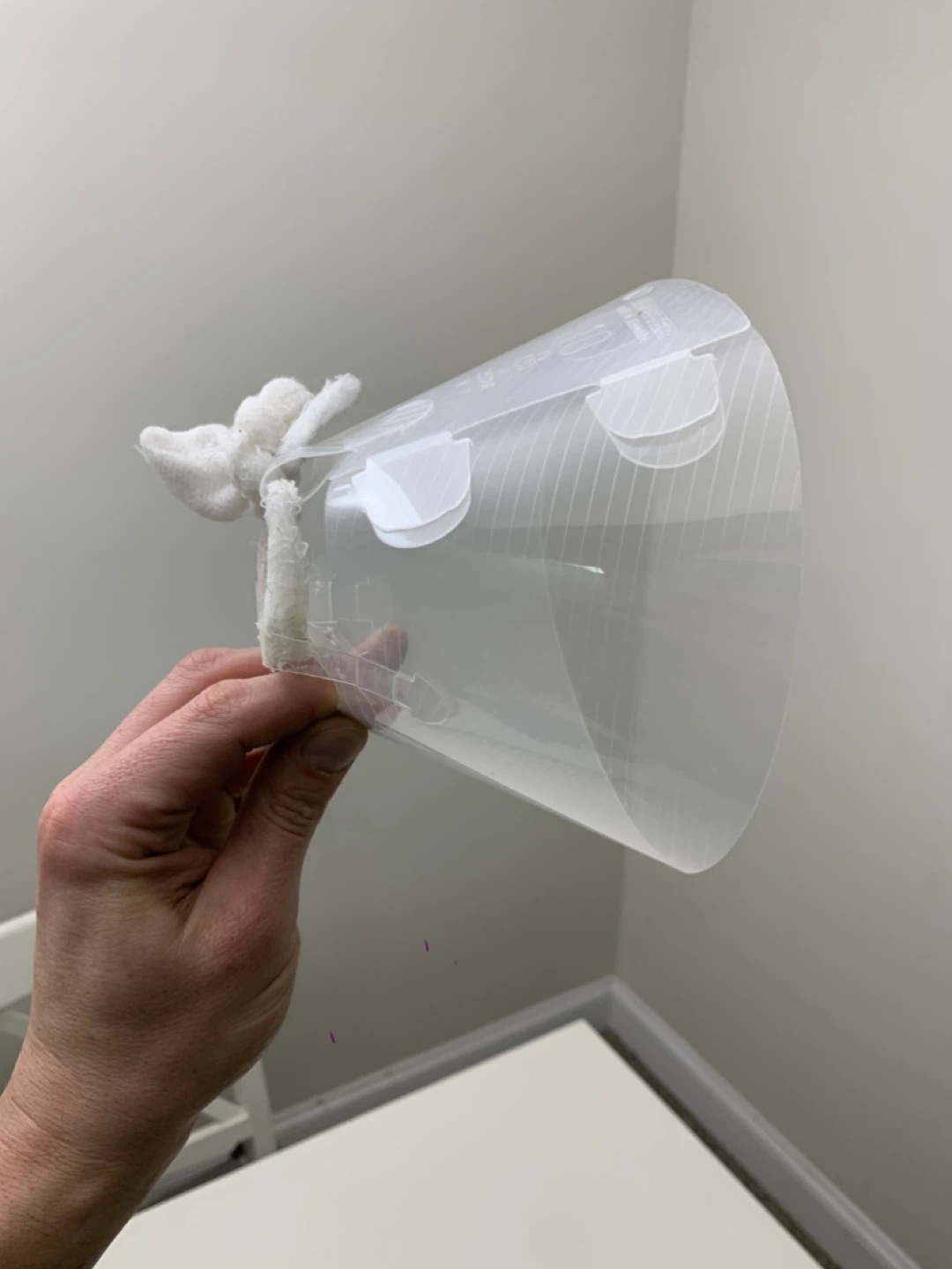 Pet Cone - Small Size 10 - Dog Neck Cone