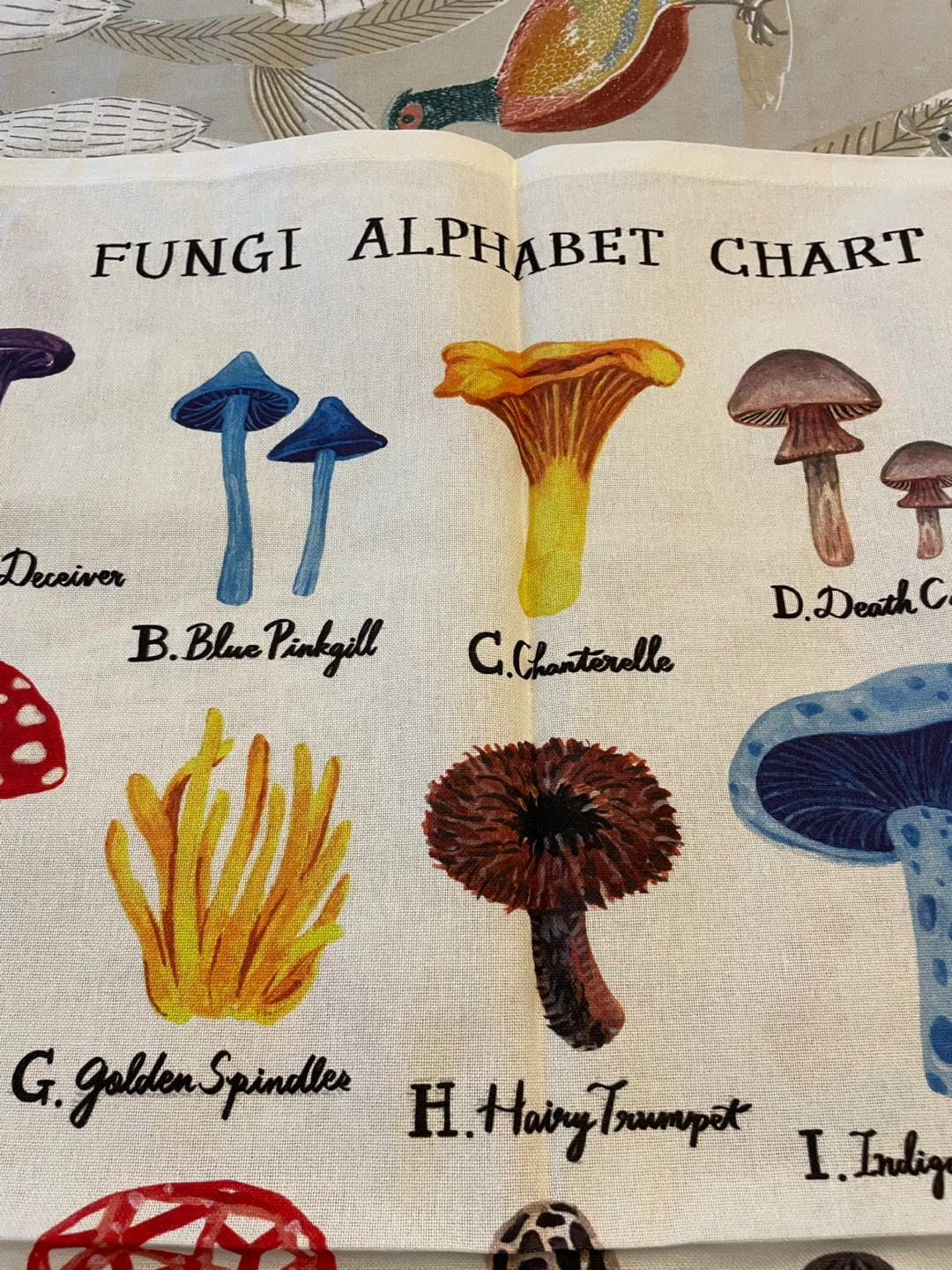 Abbott Funghi Alphabet Chart Tea Towel NEW - photo 3