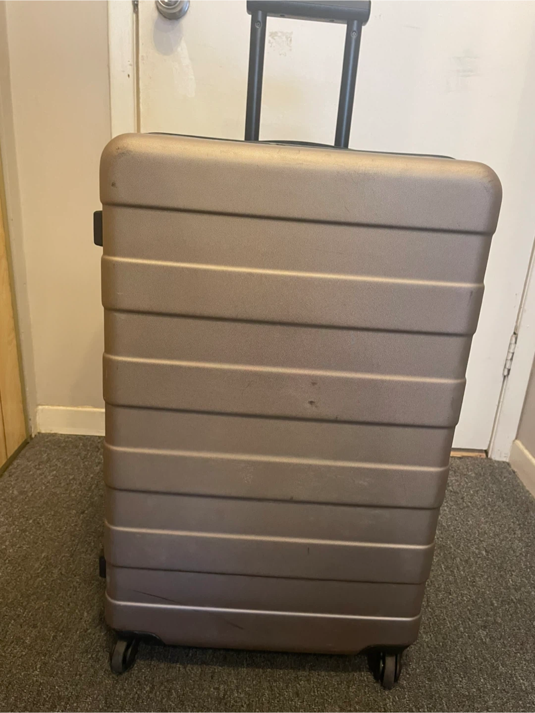 Muji luggage