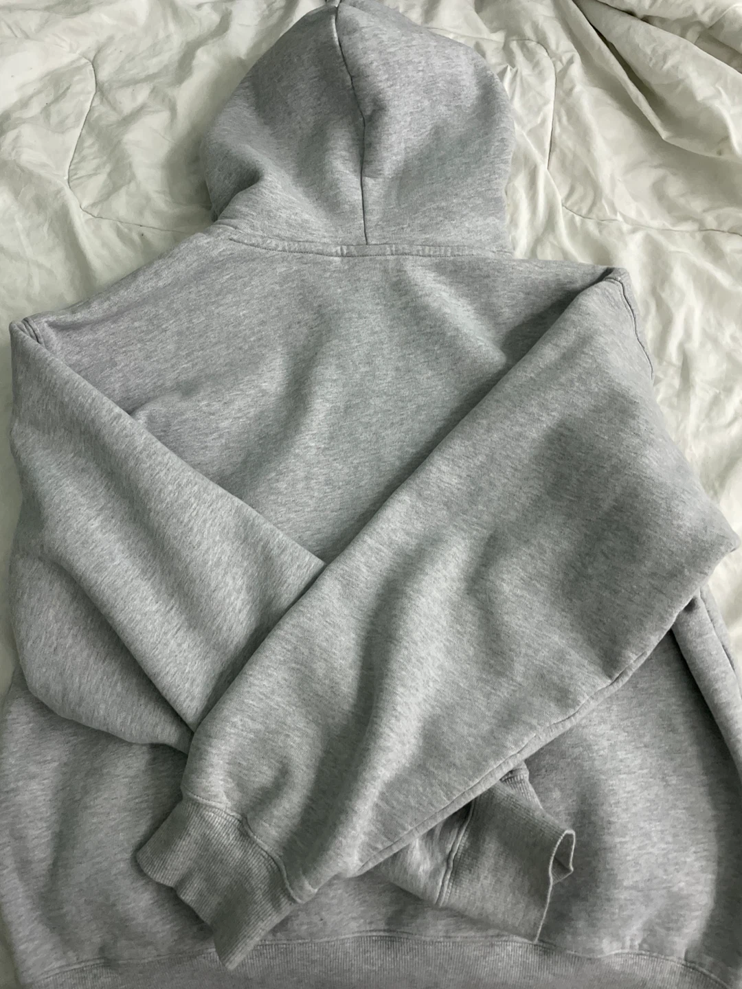 Aritzia Grey Hoodie - photo 3