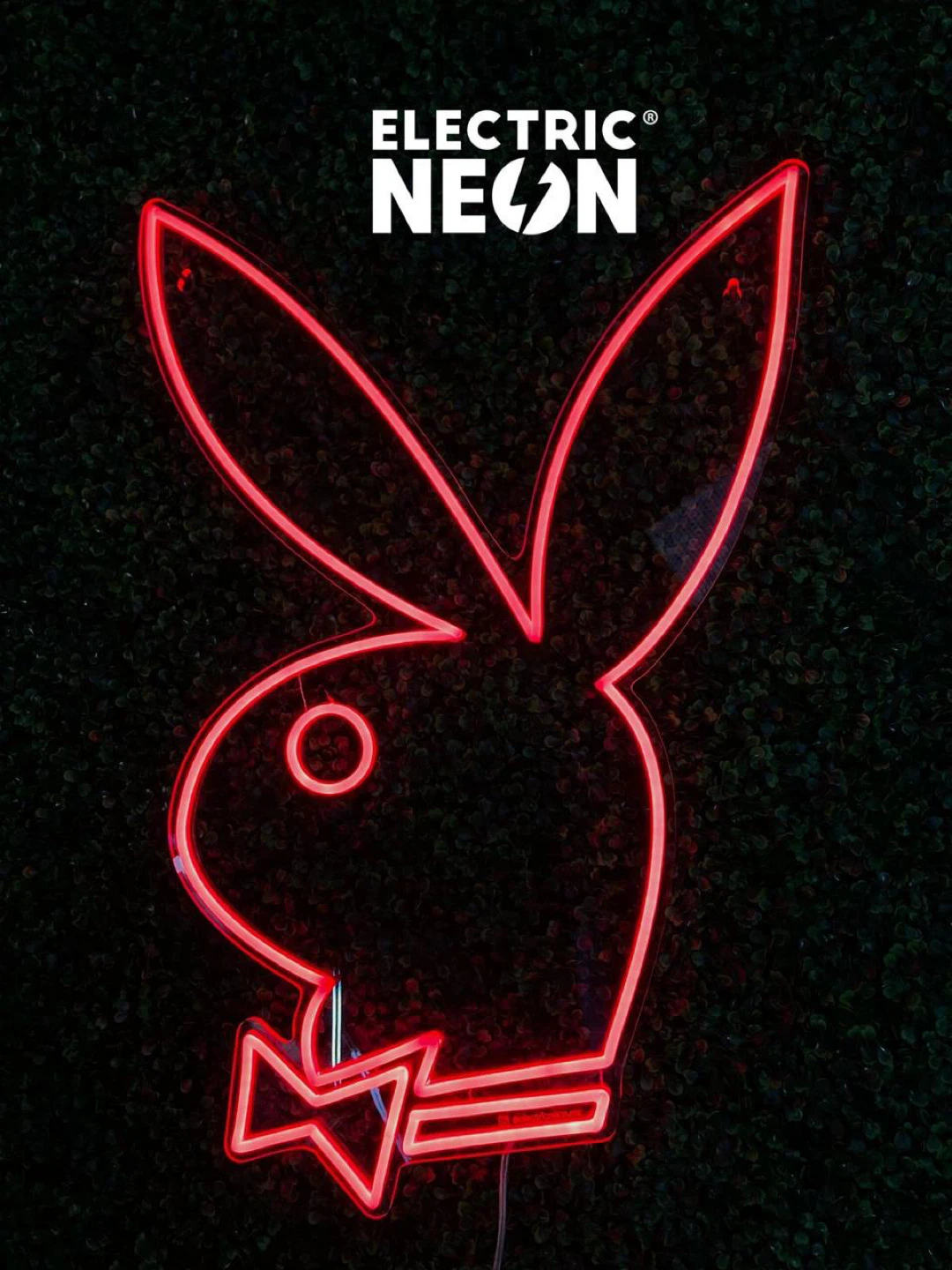 Playboy Neon Led Flexible Sign