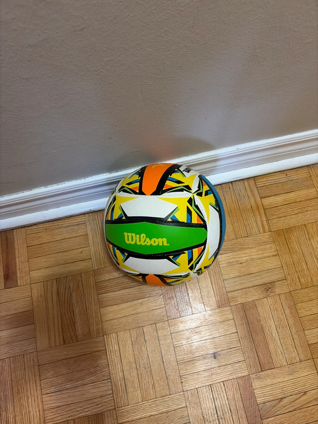 Wilson Volleyball