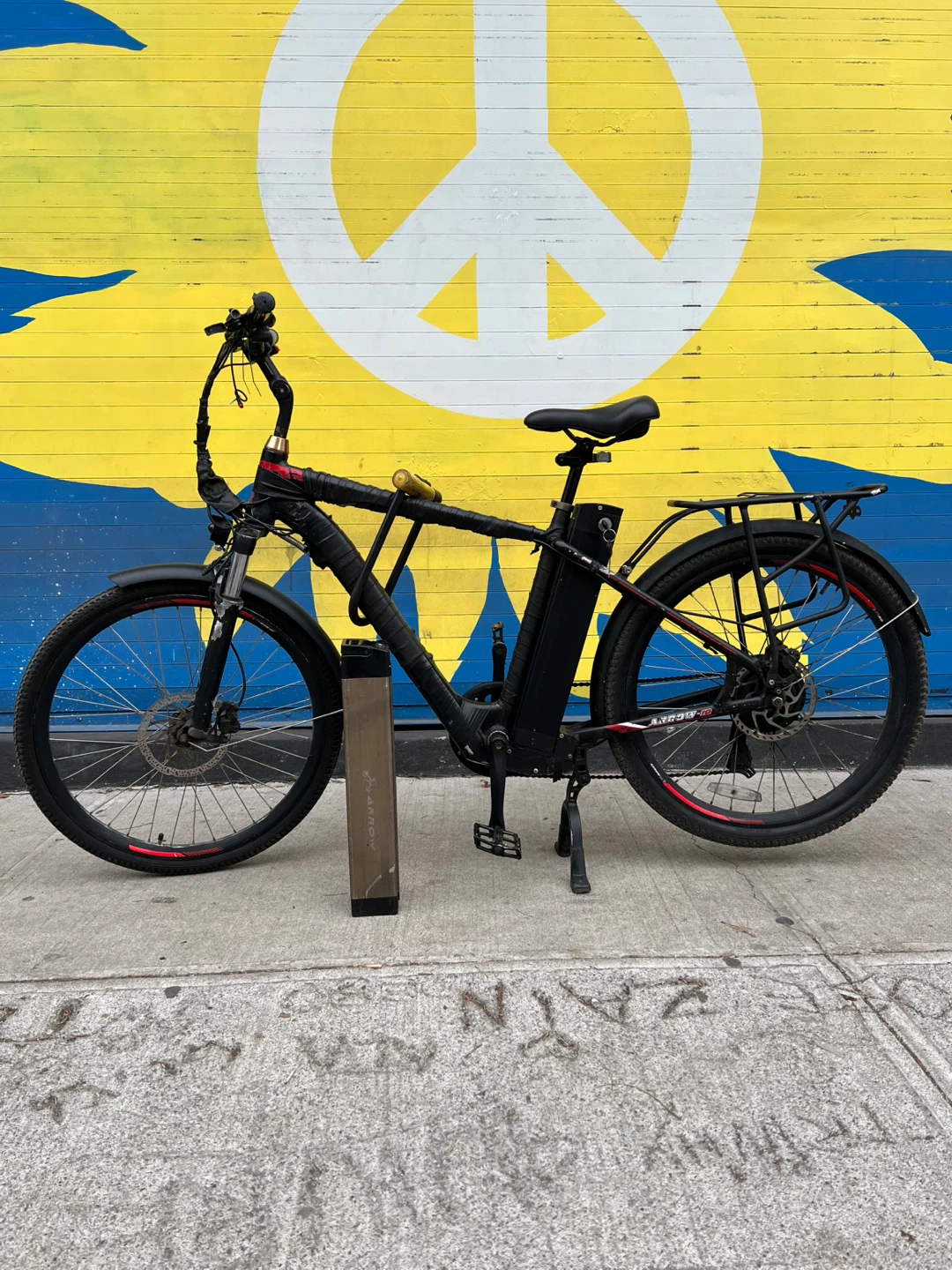 Arrow 10 Electric Bike  2 batteries - for sale - photo 2