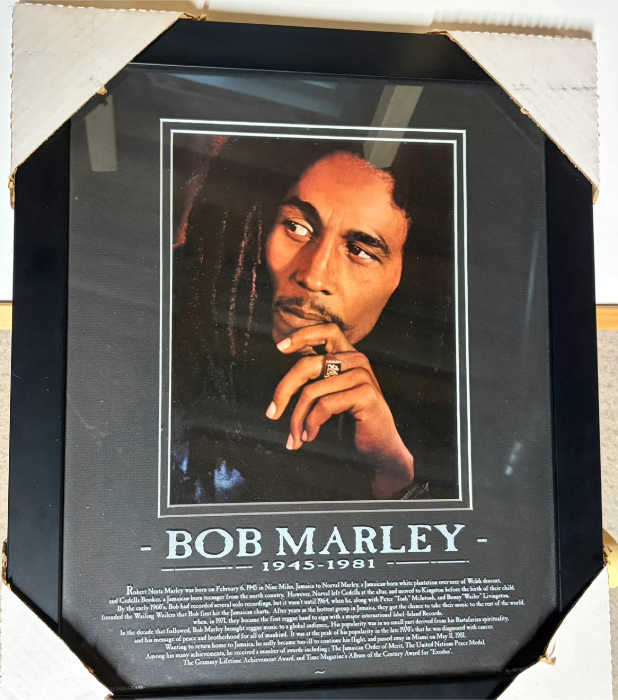 Bob Marley Etched Glass Framed Print