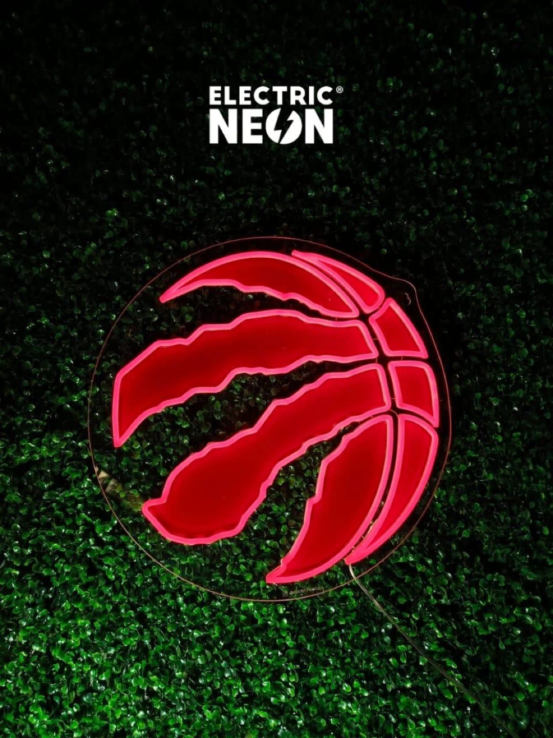 Toronto Raptors LED Sign 50cm