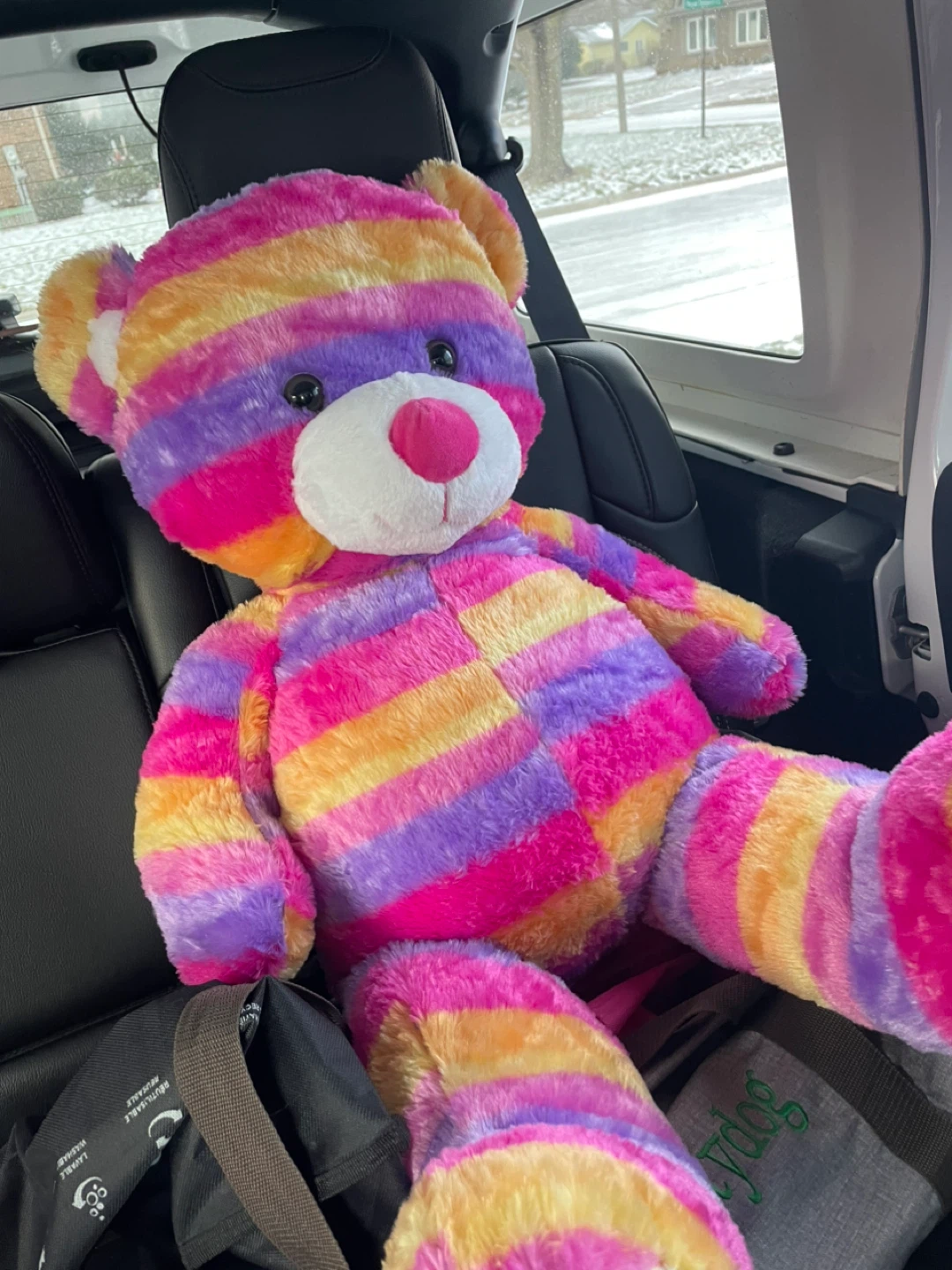 🧡Rainbow Striped Plush Teddy Bear