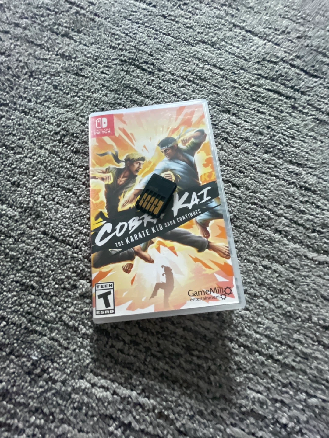 Cobra Kai: The Karate Kid Saga Continues Nintendo Switch Game - photo 4