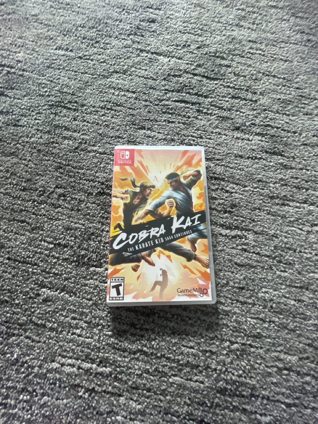 Cobra Kai: The Karate Kid Saga Continues Nintendo Switch Game