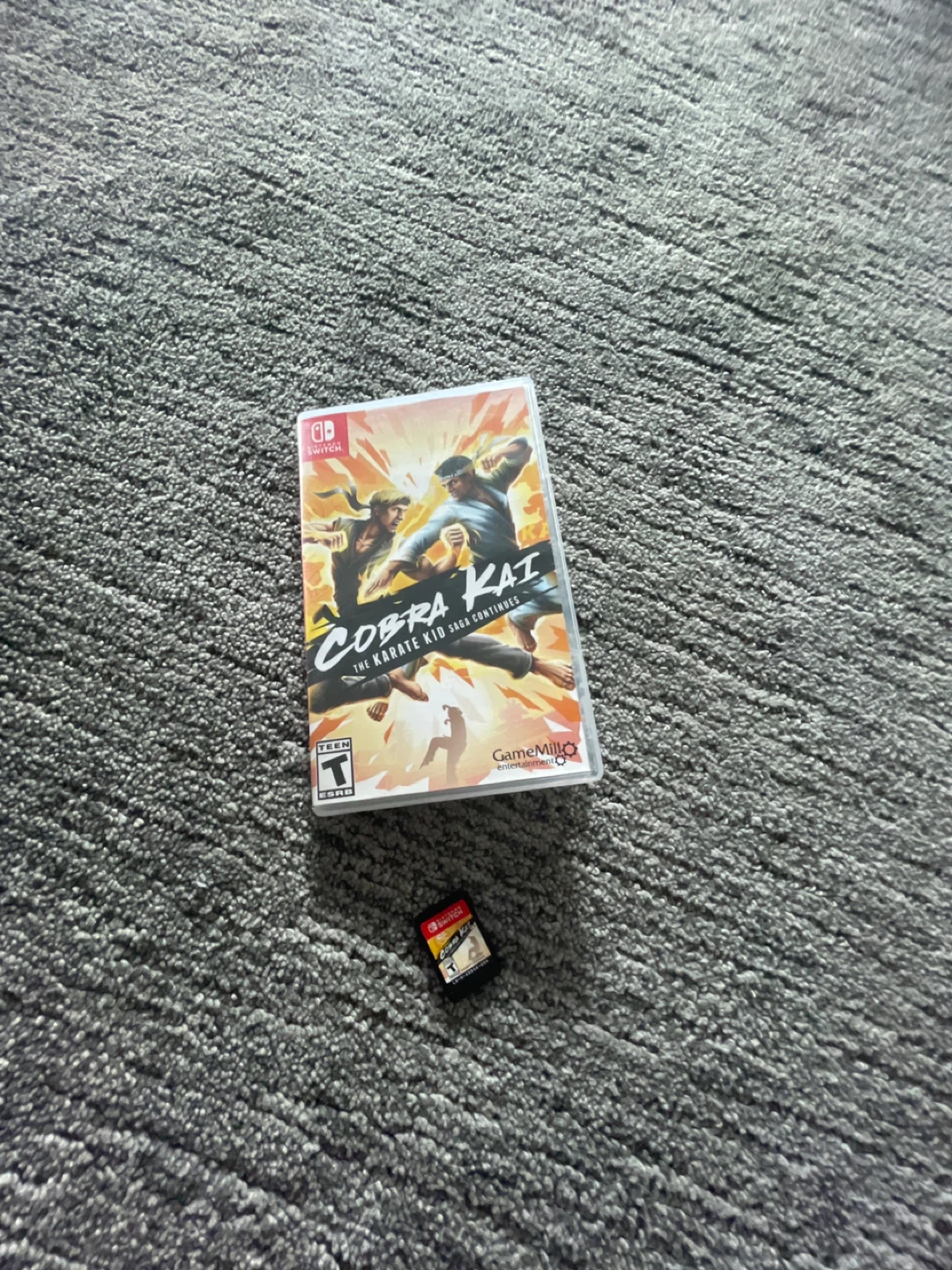 Cobra Kai: The Karate Kid Saga Continues Nintendo Switch Game - photo 3