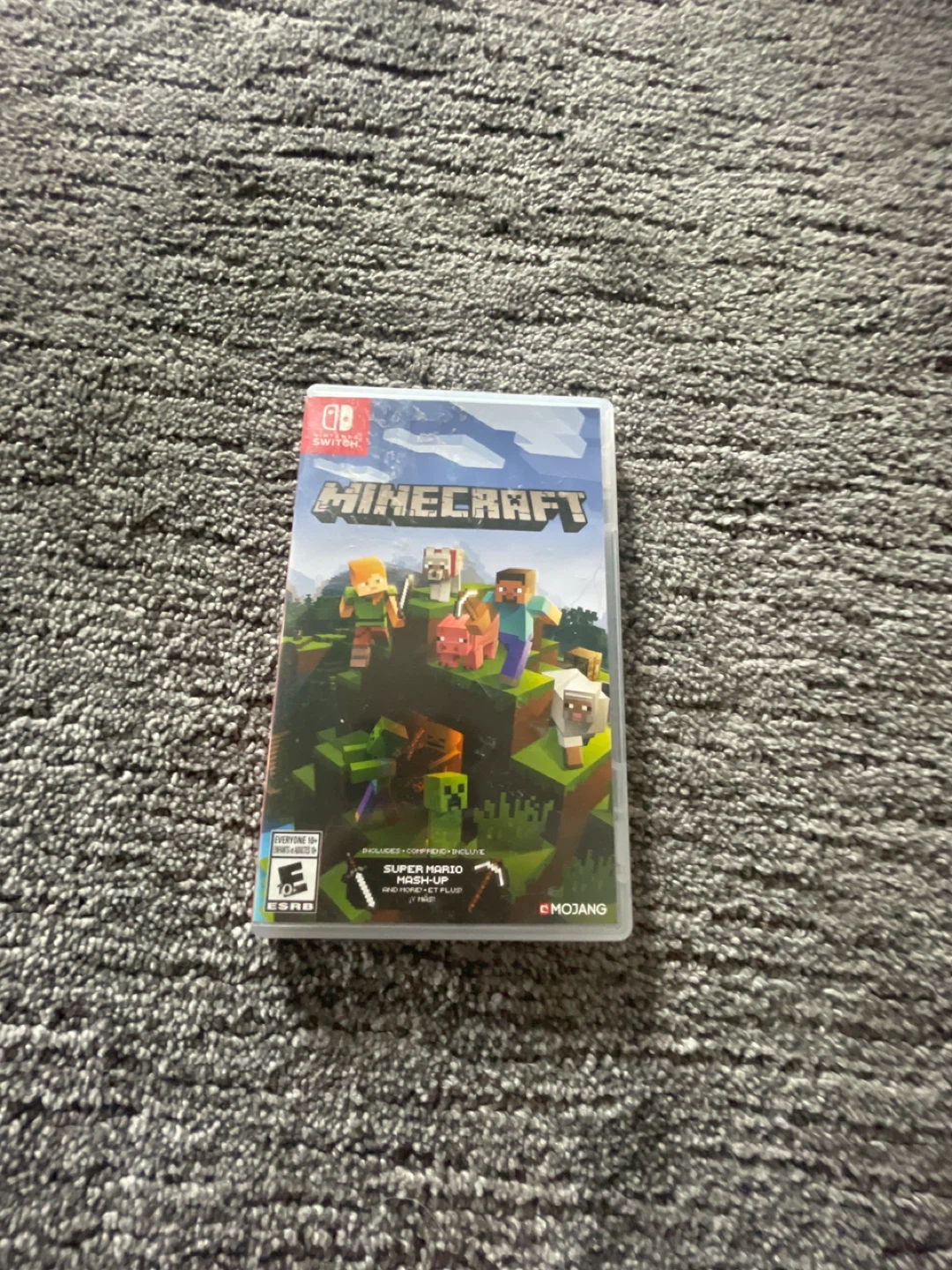 Minecraft Nintendo Switch Game