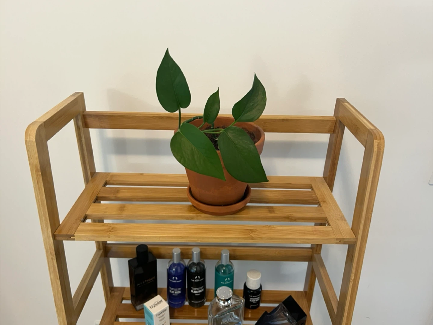 Bamboo Shelf Rack - photo 4