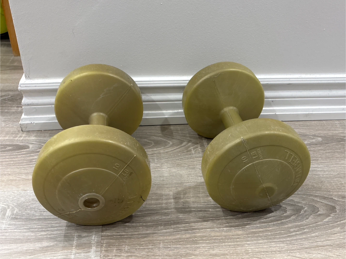 Pair of 10 LB Dumbbells