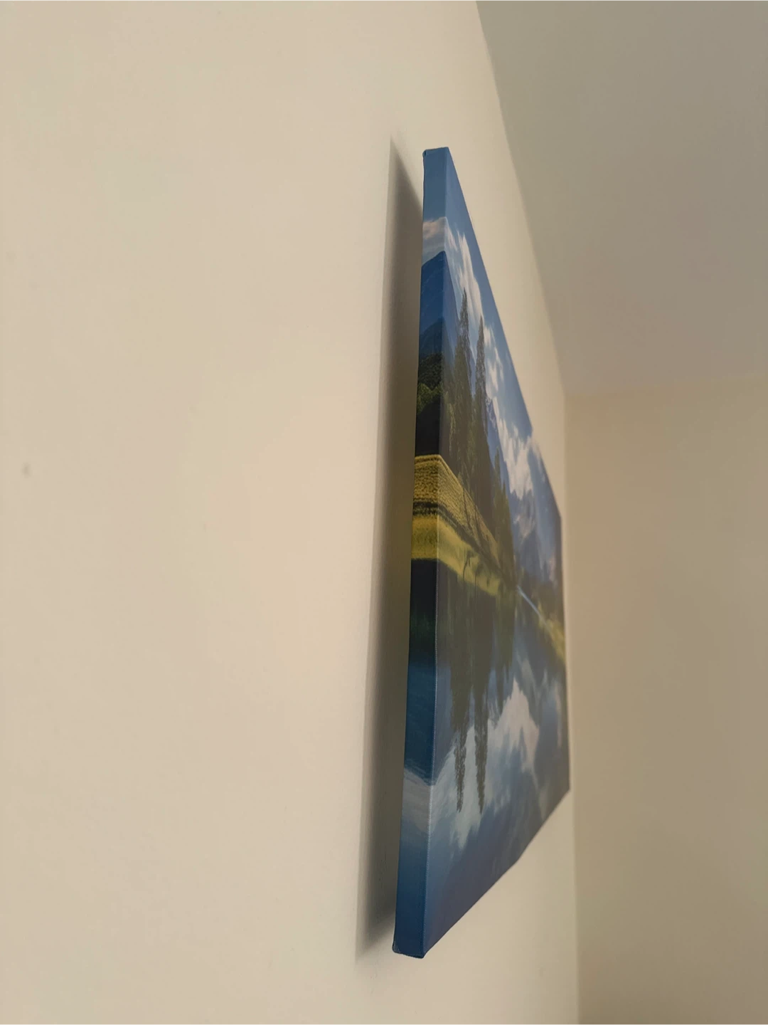 Framed Canvas Painting 20x40 inches - photo 2