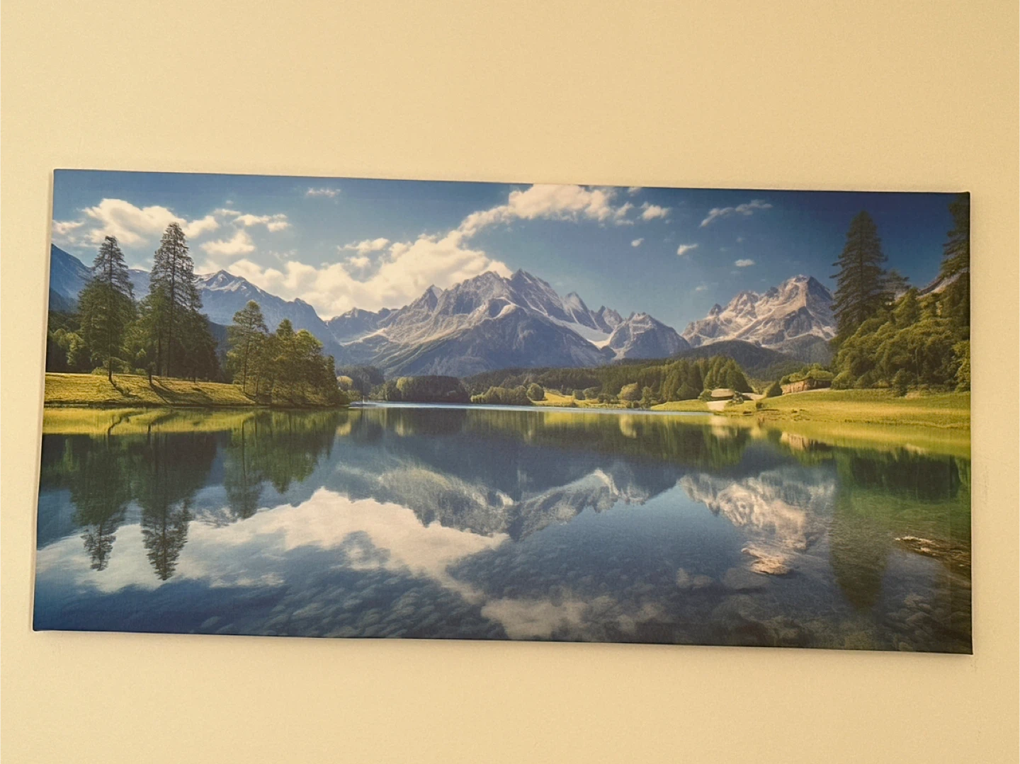 Framed Canvas Painting 20x40 inches
