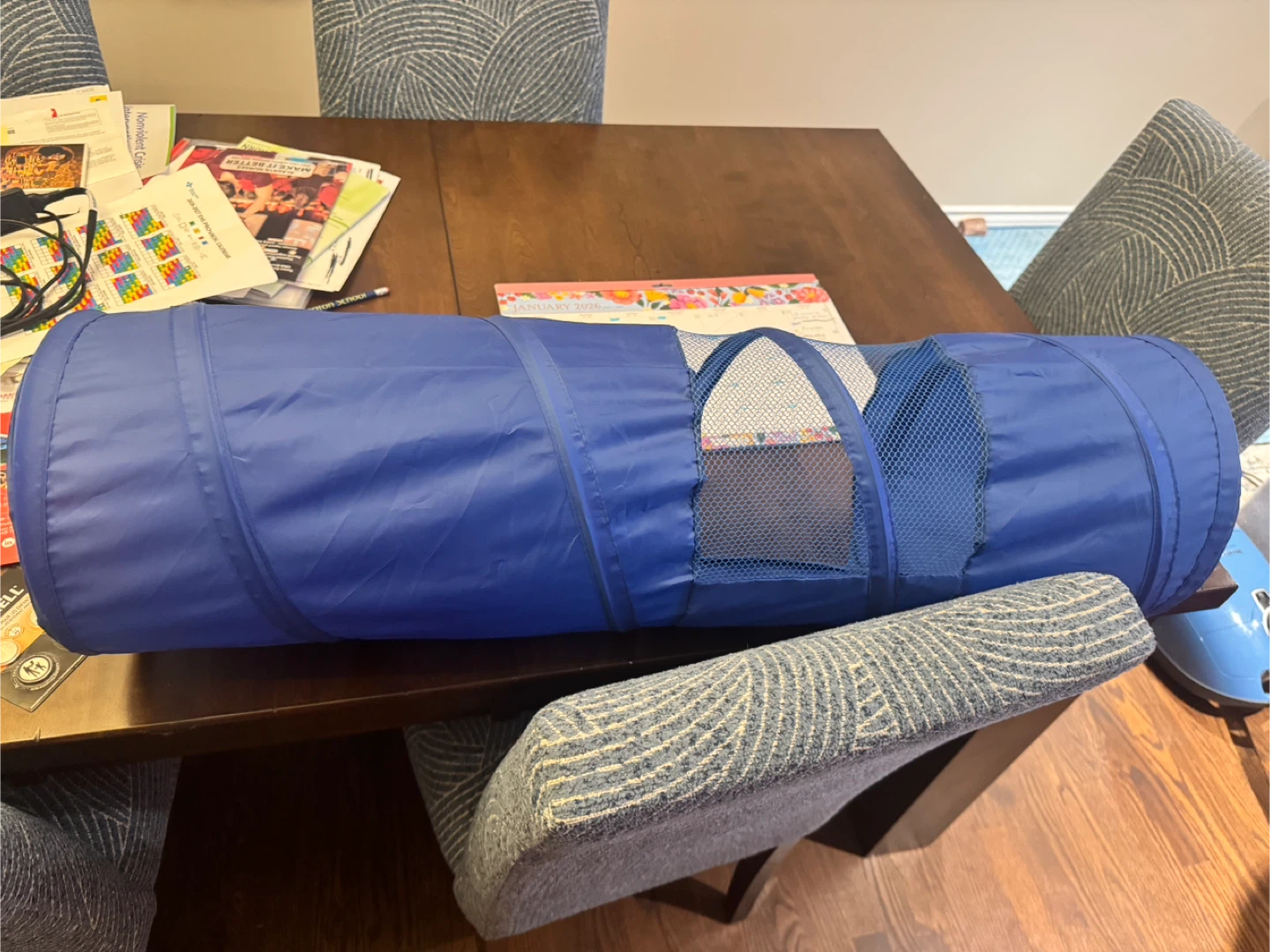 Blue Collapsible Cat Tunnel
