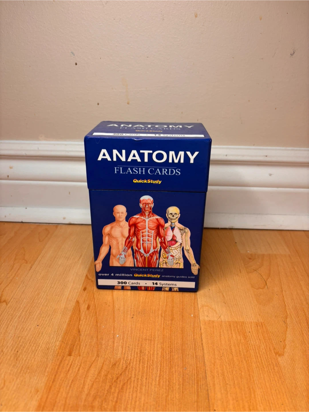 QuickStudy Anatomy Flash Cards – MCAT, Nursing, Kinesiology